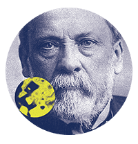 tete-louis-pasteur-musee-ipl tété-louis-pasteur