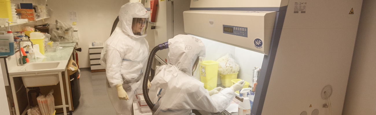 Maladies infectieuses Maladies infectieuses