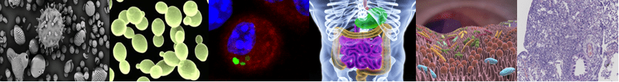 CIIL recherche Grippe immunité métabolisme CIIL recherche Grippe immunité métabolisme