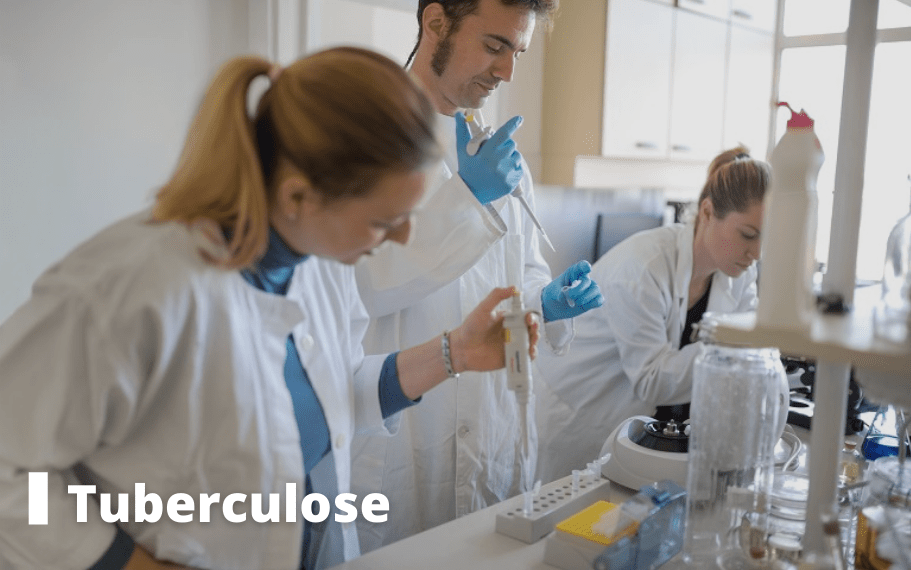 tuberculose dossier pasteur lille