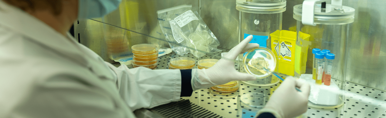 Bactéries Immunité et Antibiotiques Bactéries Immunité et Antibiotiques