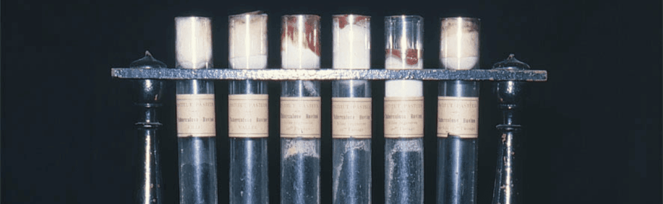 vaccin bcg histoire pasteur lille vaccin bcg histoire pasteur lille